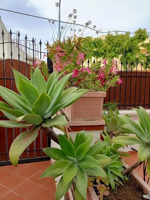 Casa Lea Apartman Agrigento 0*,